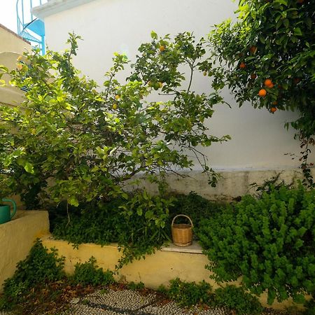 Archontiko Pataka Daire Rhodes City Dış mekan fotoğraf