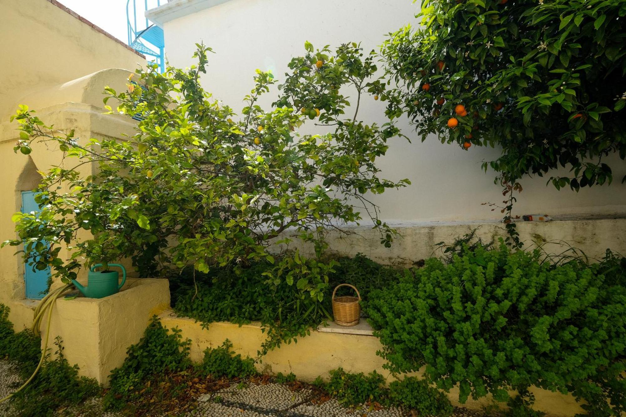 Archontiko Pataka Daire Rhodes City Dış mekan fotoğraf