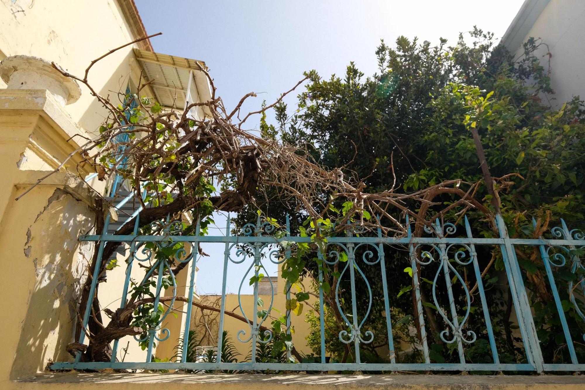 Archontiko Pataka Daire Rhodes City Dış mekan fotoğraf